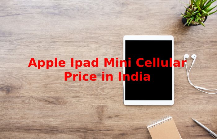Apple Ipad Mini Cellular Price in India